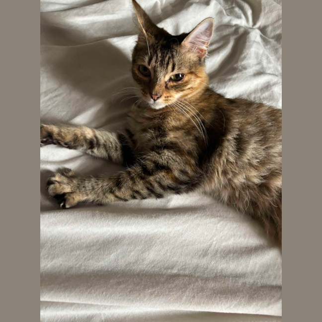 Photo of Macha