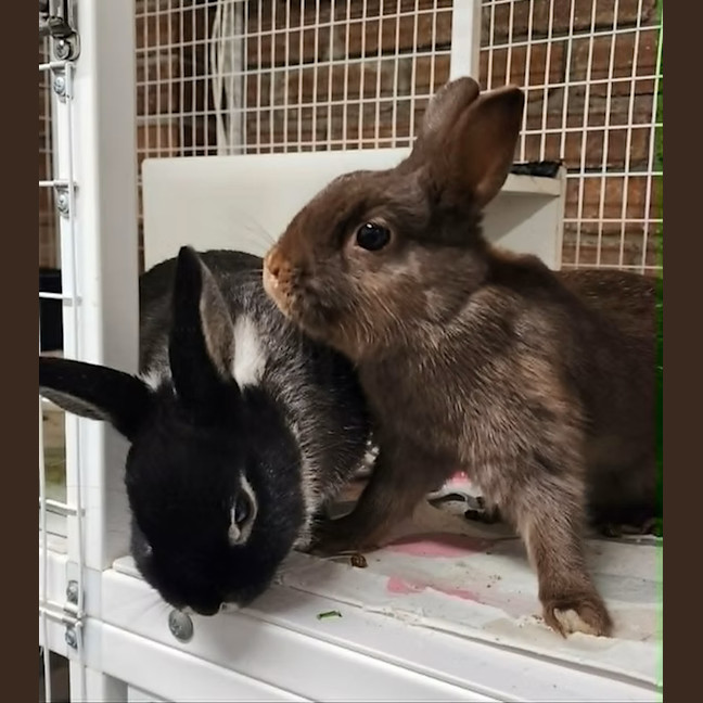 Photo of Didi And Aida