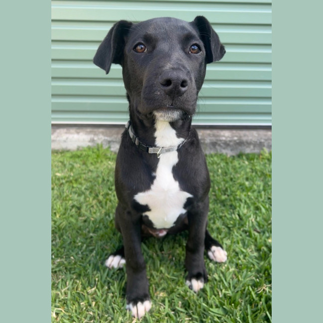 Photo of Guiness