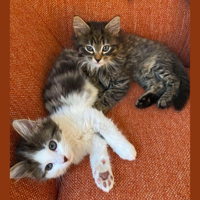 Photo of Georgi & Zuri 