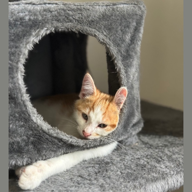 Photo of Sunny