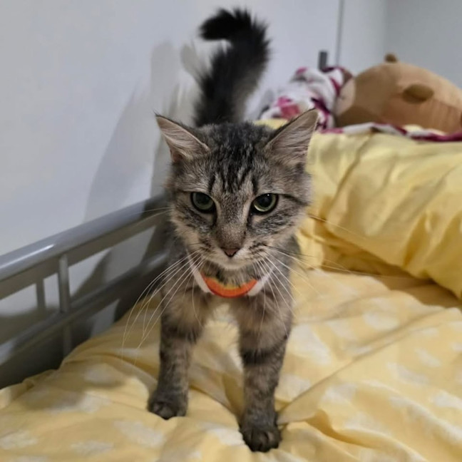 Photo of 13458   Aphrodite