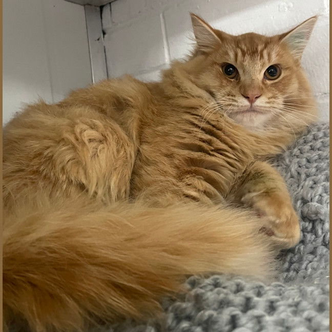 Photo of Bon