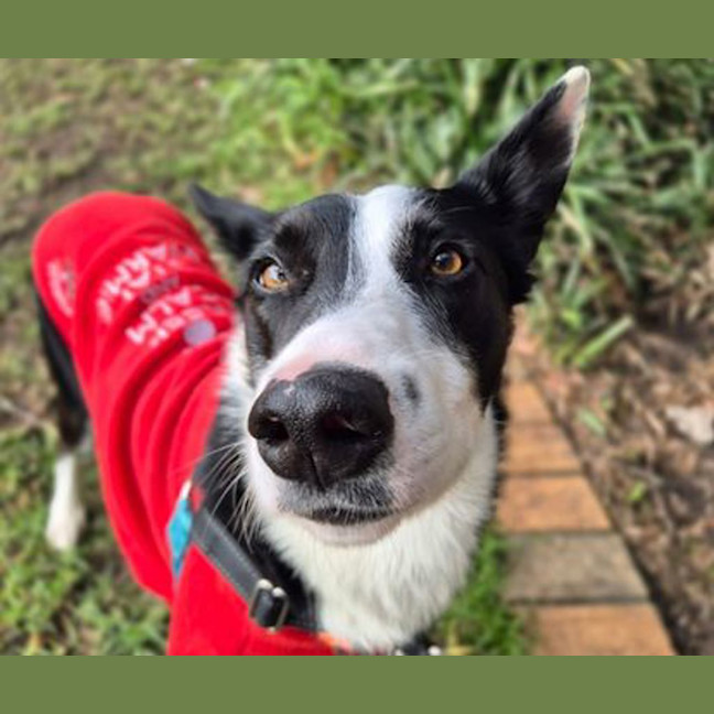 Photo of Otis