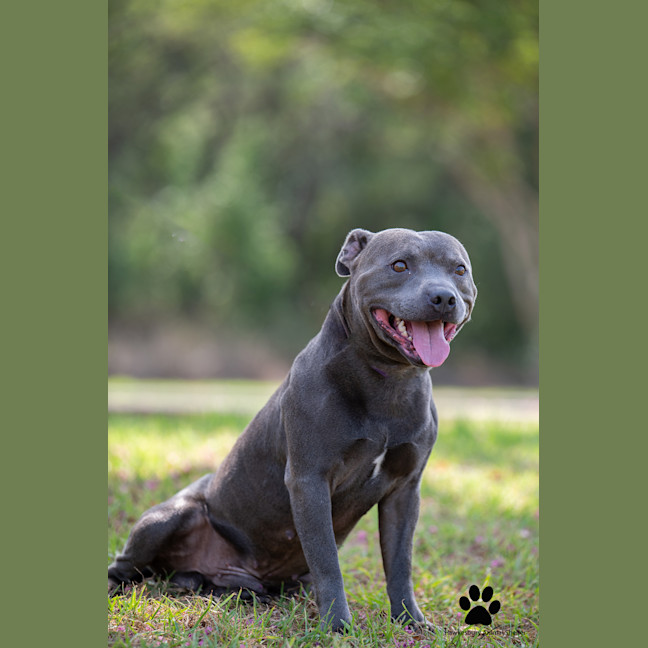 Photo of Zeus