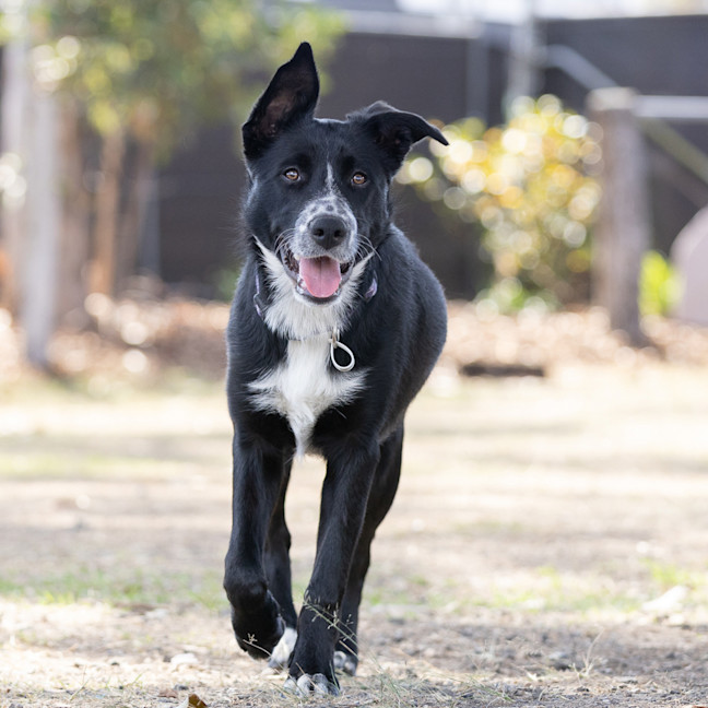 Photo of Murphy
