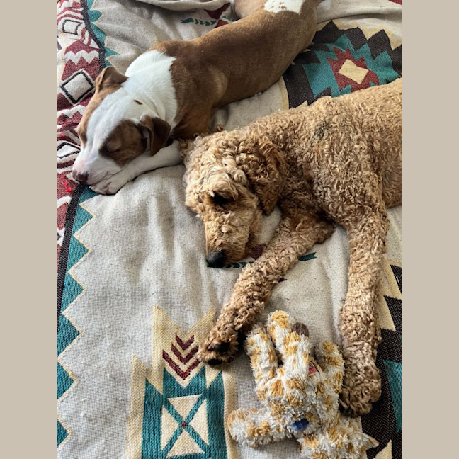 Photo of Molly
