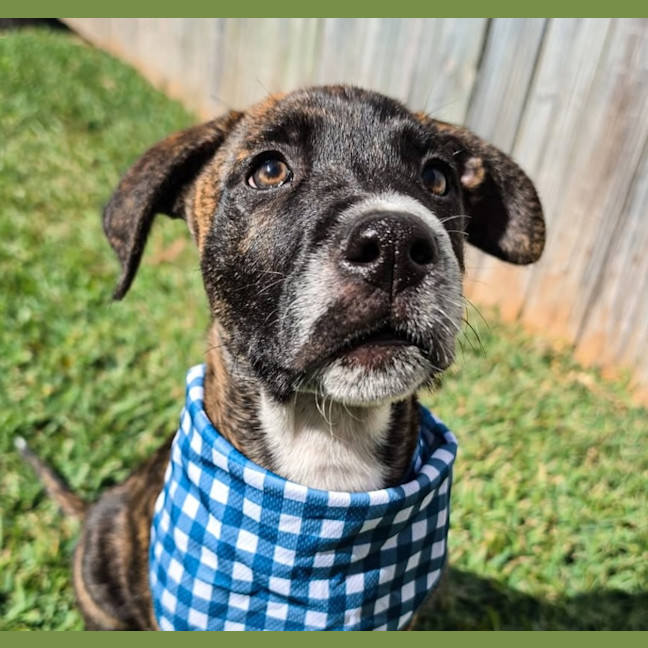 Photo of Churro