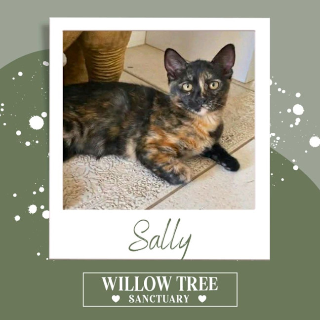 Photo of Sally