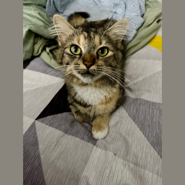 Photo of Samara Mae 