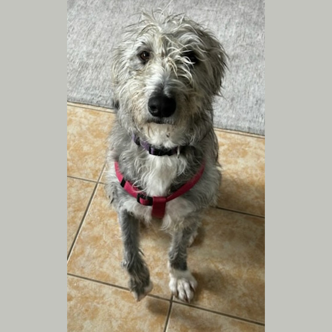 Photo of Molly