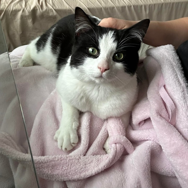 Photo of Moo