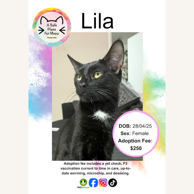 Photo of Lila