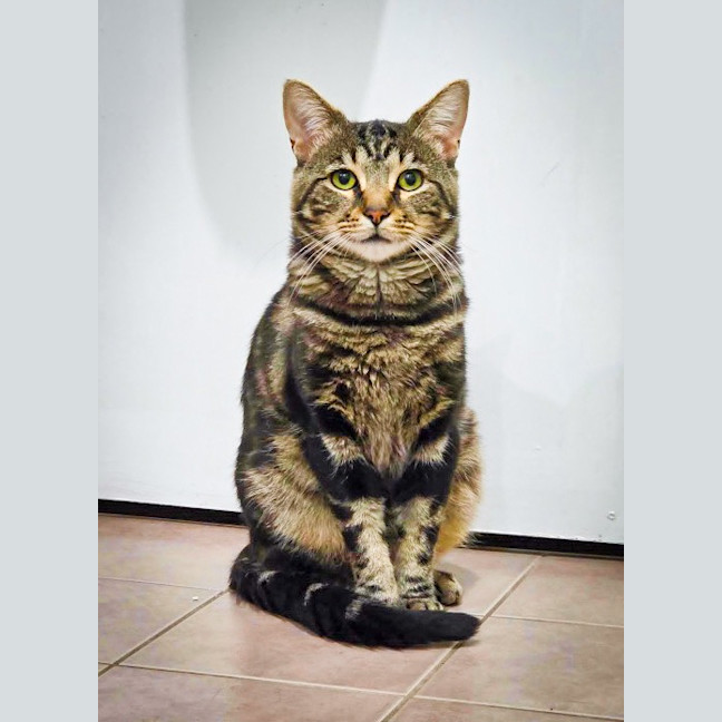 Photo of Buddy