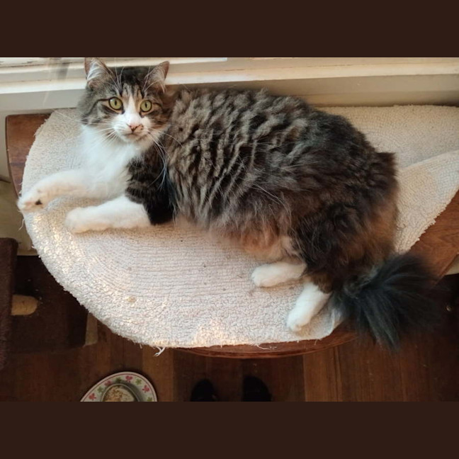 Photo of Ms. Ida Mae