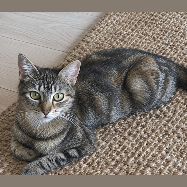 Photo of Mia 