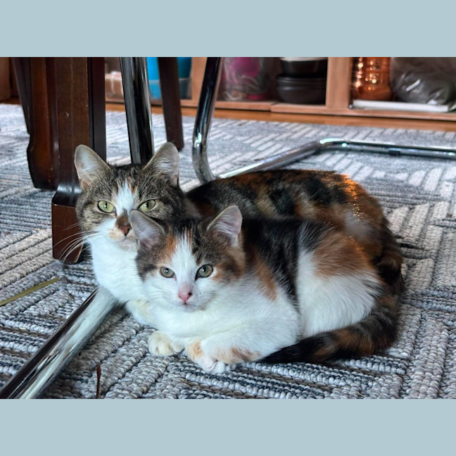 Photo of Mia