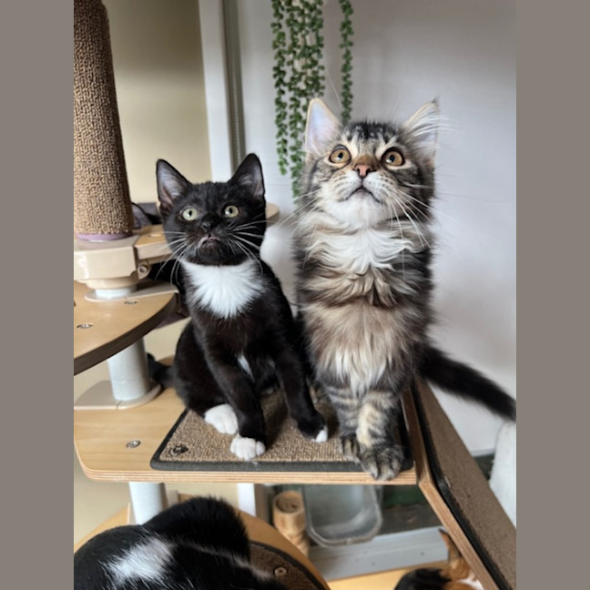 Photo of Jack & Jupiter