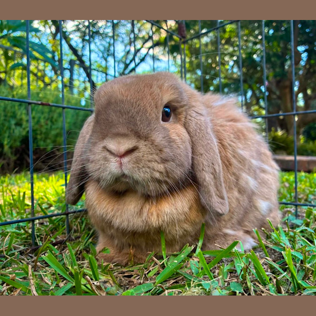 Photo of Denver And Heather