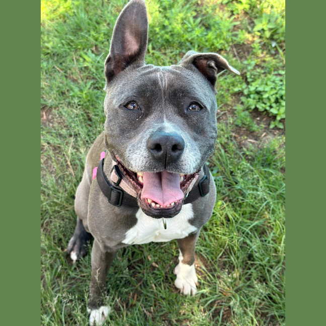 Photo of Leia