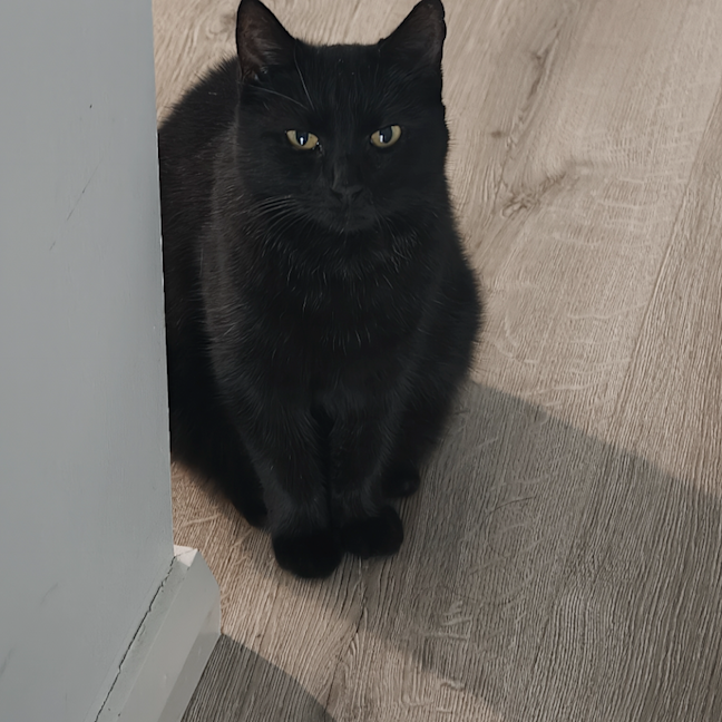 Photo of Beanie