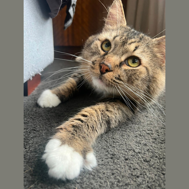 Photo of Mr Big