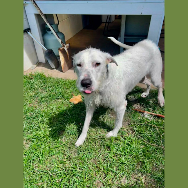 Photo of Betty 