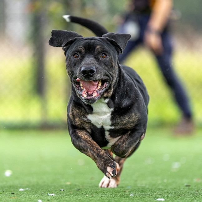 Photo of Fred Imp 2407