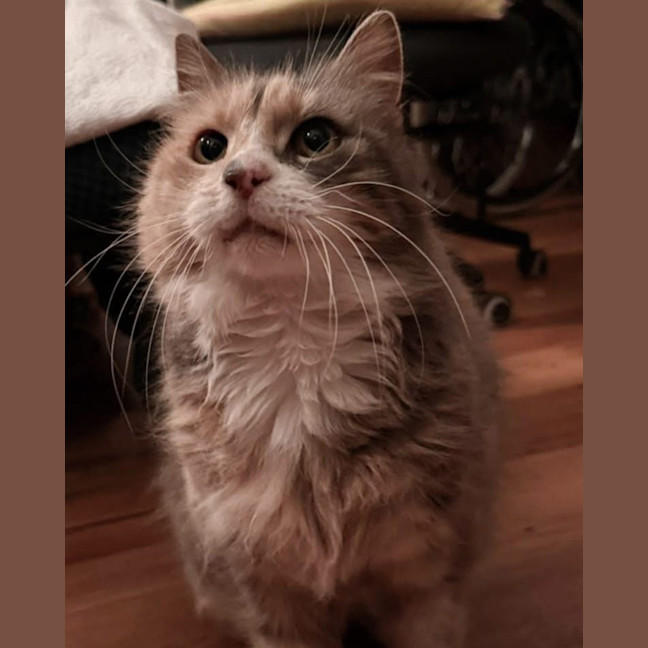 Photo of Millie