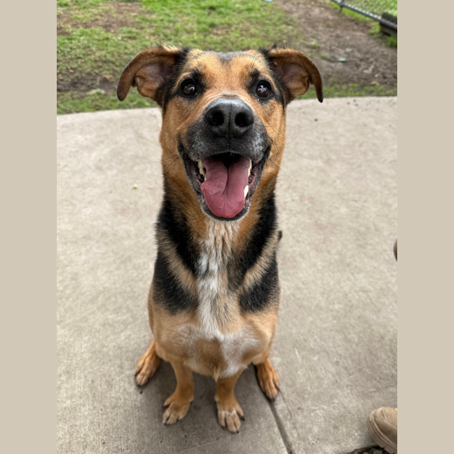 Photo of Ollie (Eddie)
