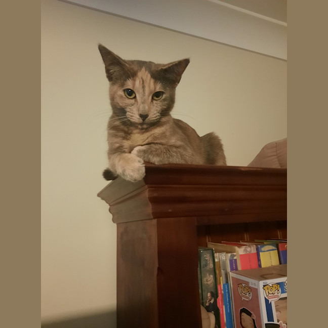 Photo of Sage