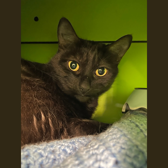 Photo of Fiona