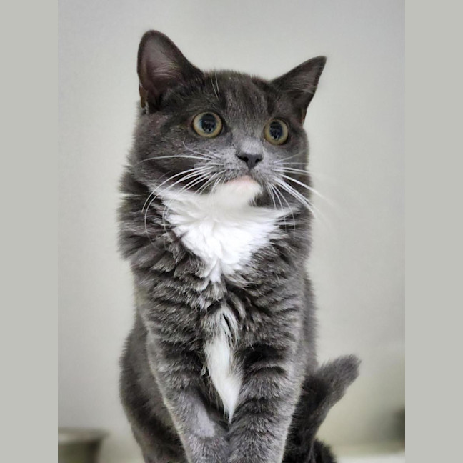 Photo of 🗼 Milah 6896 🗼