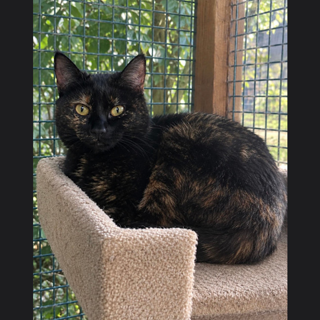 Photo of Wednesday
