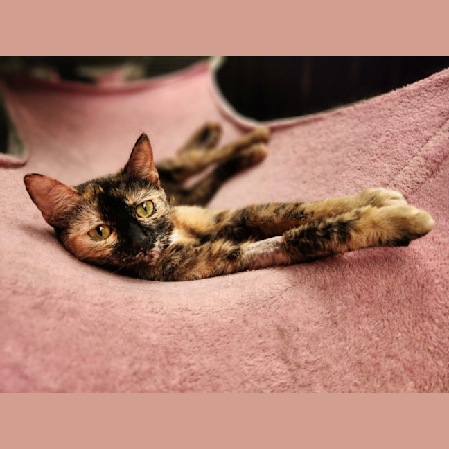 Photo of Olivia 