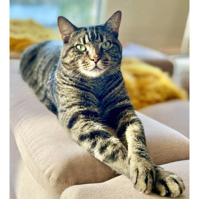 Photo of 12624   Ranger Tom