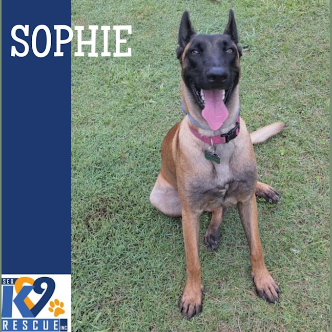 Photo of Sophie