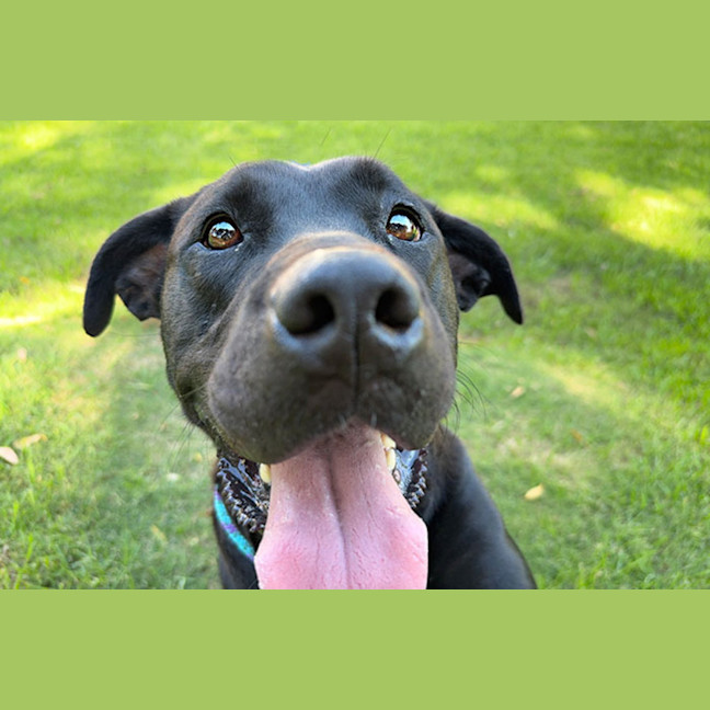 Photo of Bonnie