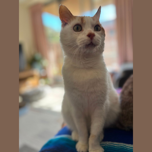 Photo of Bobby