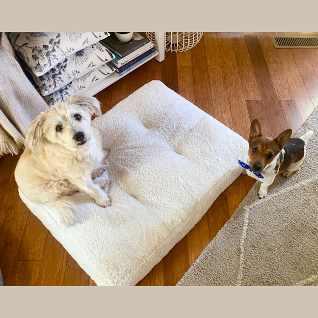 Photo of Kevin Arnold