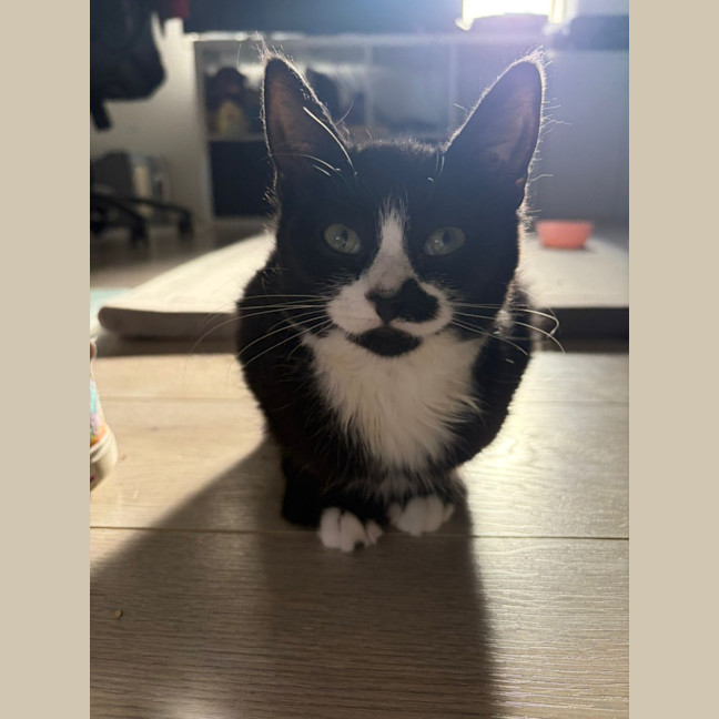 Photo of Sweet Cheeks