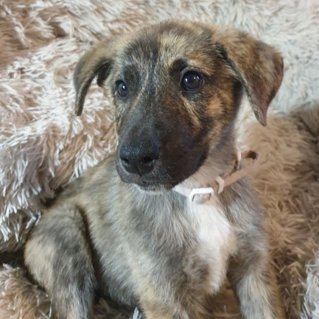 Photo of Missy Cooper