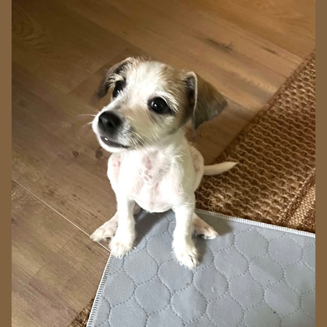 Photo of Marley Muddle