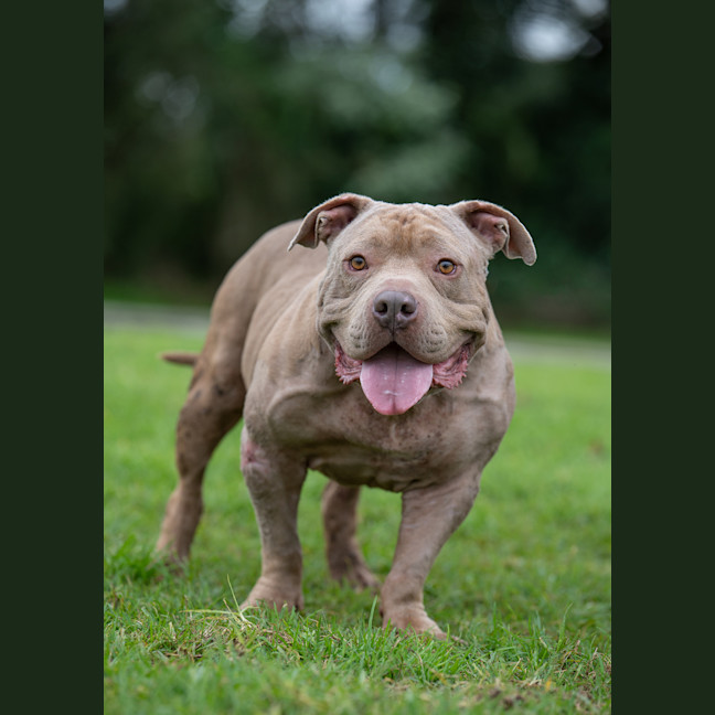 Photo of Wally