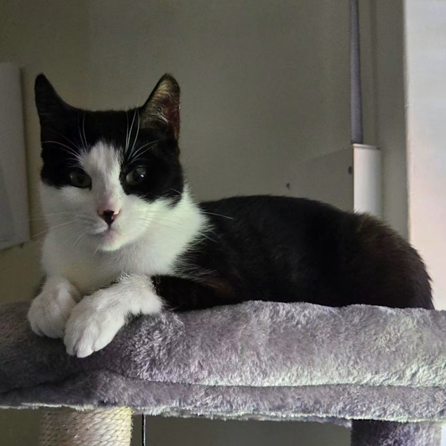 Photo of 14121   Freya