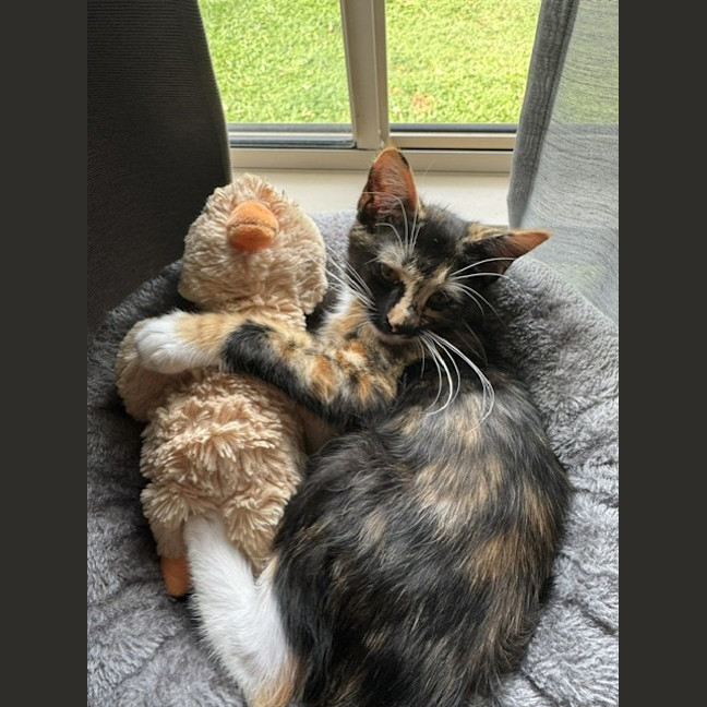 Photo of Lexi