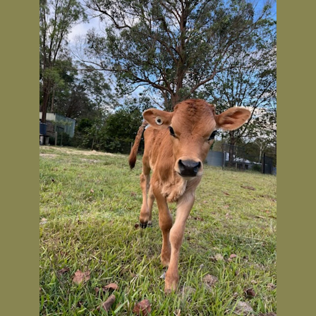 Photo of Austin And Elvis