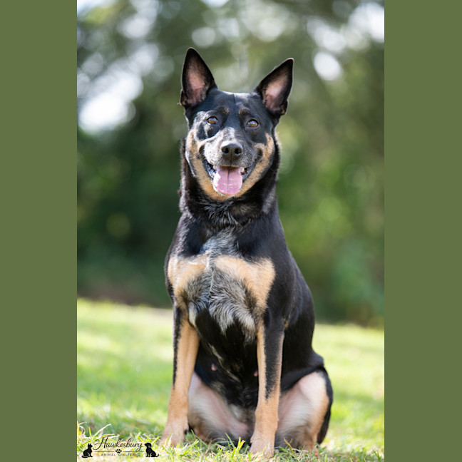 Photo of Betsy