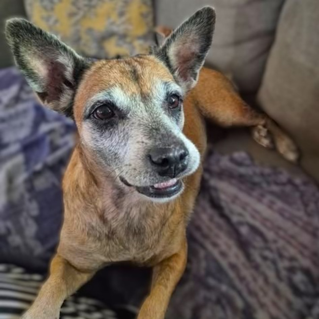 Photo of Winnie