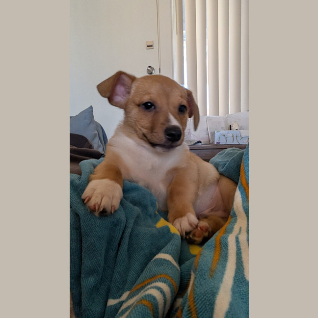 Photo of Eggsy